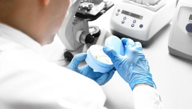 Cosmétique : la filtration des crèmes et pommades.