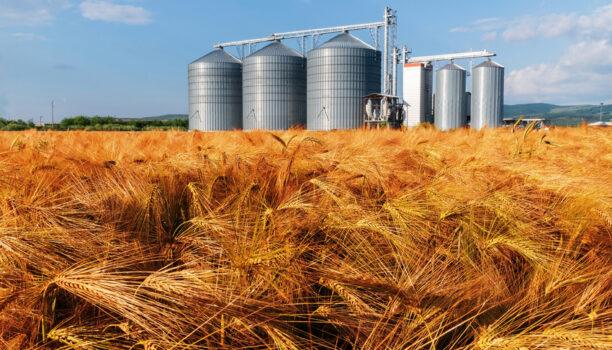 Quelles solutions de dépoussiérage pour le secteur des céréales et semences ?