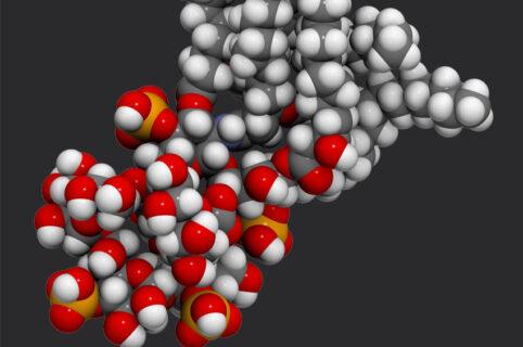 Comment éliminer les endotoxines des eaux à usage pharmaceutique ?