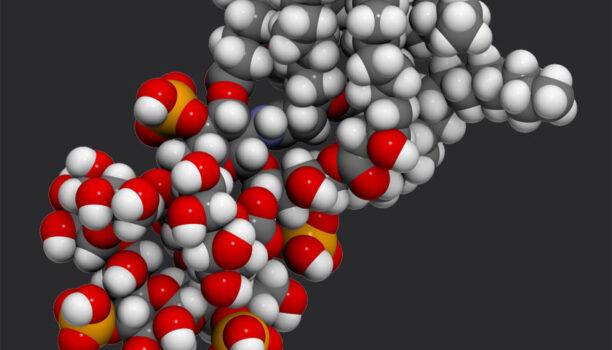 Comment éliminer les endotoxines des eaux à usage pharmaceutique ?