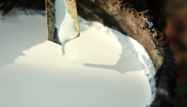 Filtres à poches et carter de filtration en inox 316L : exemple d&rsquo;utilisation.