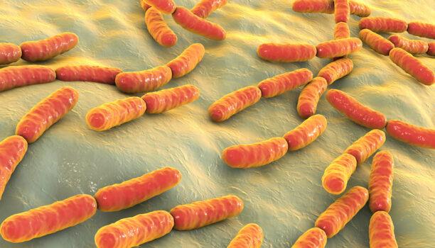 Filtre d’évent sur fermenteurs: exemple de réduction des coûts et délais de livraison
