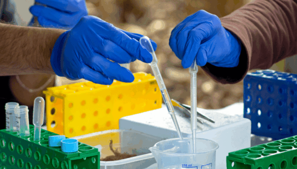 Préfiltration des eaux de forage : la solution de filtration toute automatique