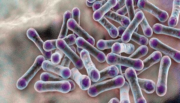 Membranes plissés ou fibres creuses ? Un point sur ces deux technologies