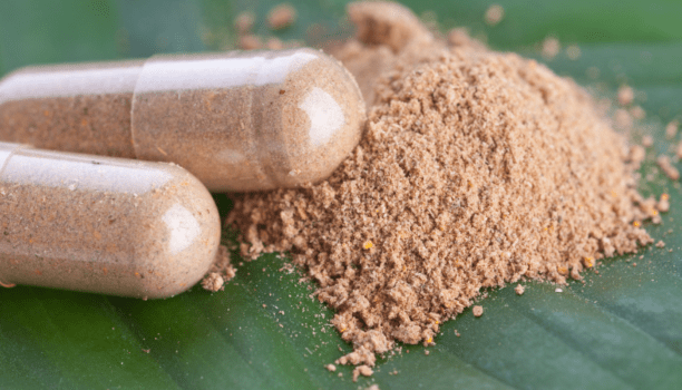 Cartouche Charbon Actif Haute performance pour la production d’API