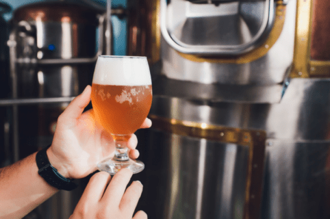 Je dois décolorer une boisson. Quel type de filtre choisir ?