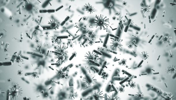 Eviter les contaminations croisées