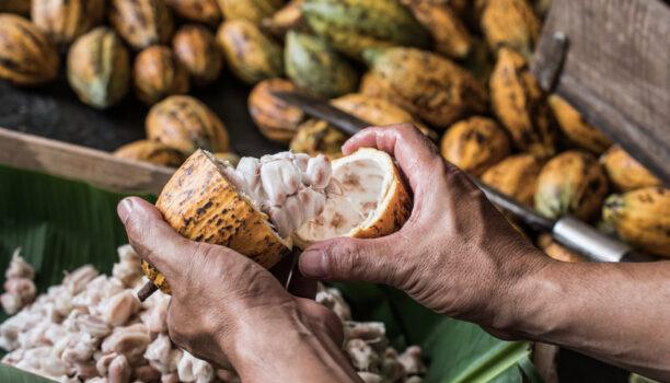 Filtration stérilisante de l’air comprimé : des solutions bien maîtrisées