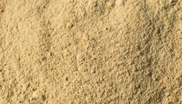 Fluidisation des poudres : quels médias filtrants choisir ?