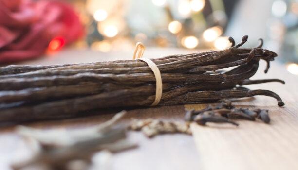 Filtration de broyats : une solution ergonomique et économique, certifiée FDA & CE 1935/2004