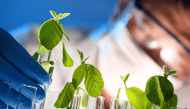 Filtration stérilisante d’hydrolats, d’eaux micellaire, de décoctions : Comment s’y prendre …