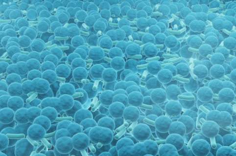 J’ai des problèmes bactériologiques récurrents sur ma boucle d’eau. Que faire ?