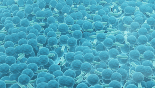 J’ai des problèmes bactériologiques récurrents sur ma boucle d’eau. Que faire ?